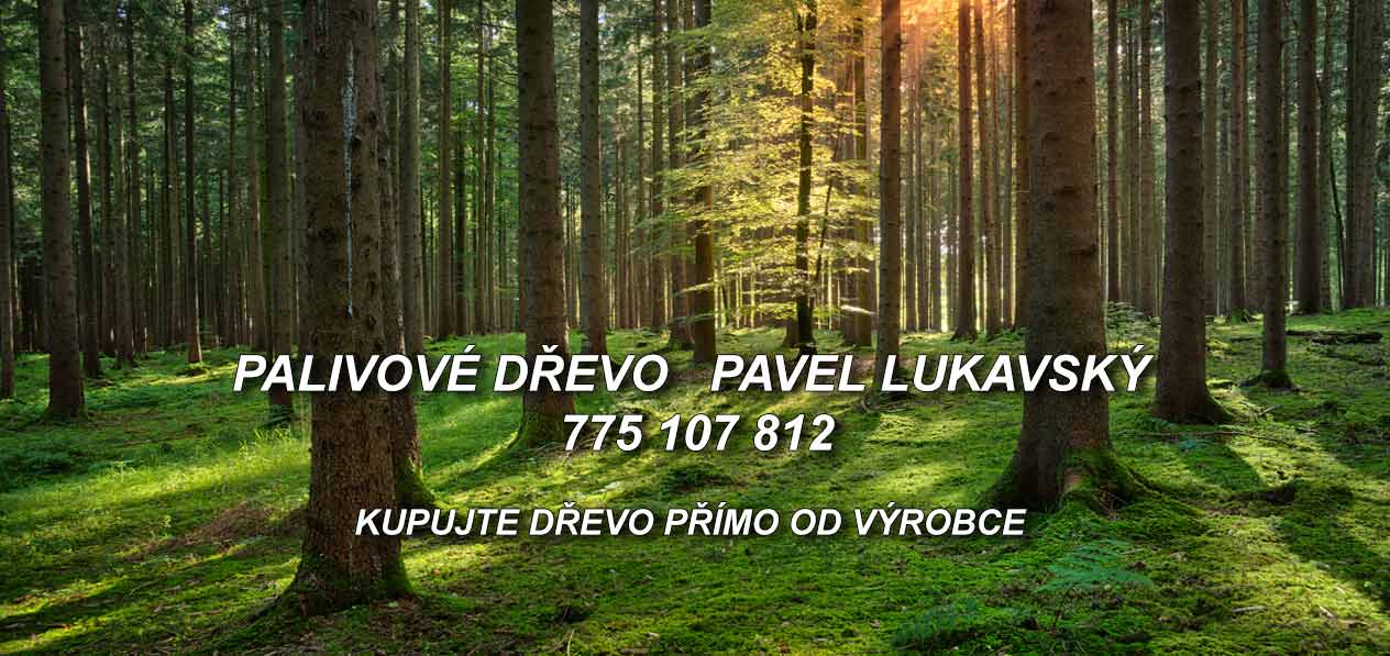 DŘEVO NA TOPENÍ RYCHNOV NAD KNĚŽNOU 