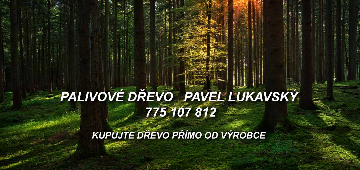  LEVNÉ PALIVOVÉ DŘEVO RYCHNOV NAD KNĚŽNOU 